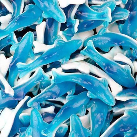 Giant Blue Dolphins 200g